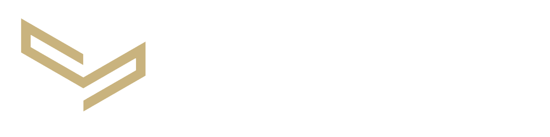 VSTONE MX